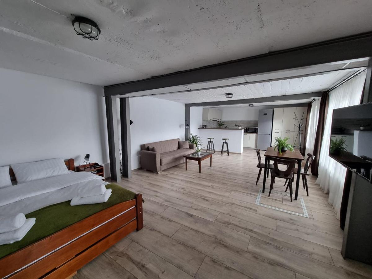 The Cozy Bunker Lejlighed Sibiu Eksteriør billede