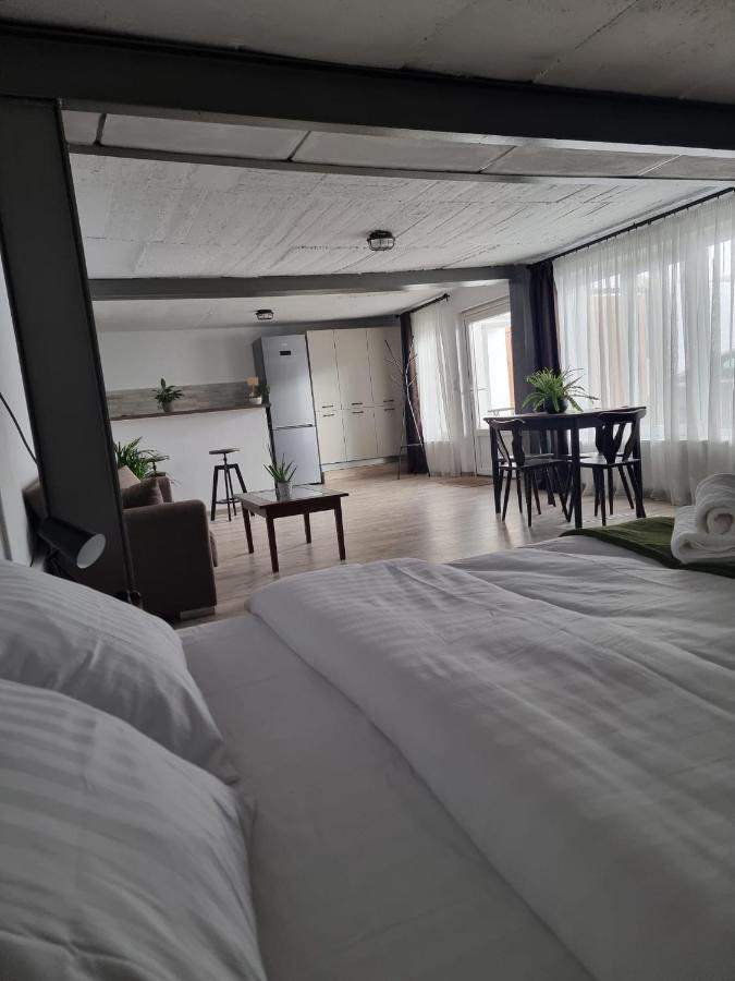 The Cozy Bunker Lejlighed Sibiu Eksteriør billede