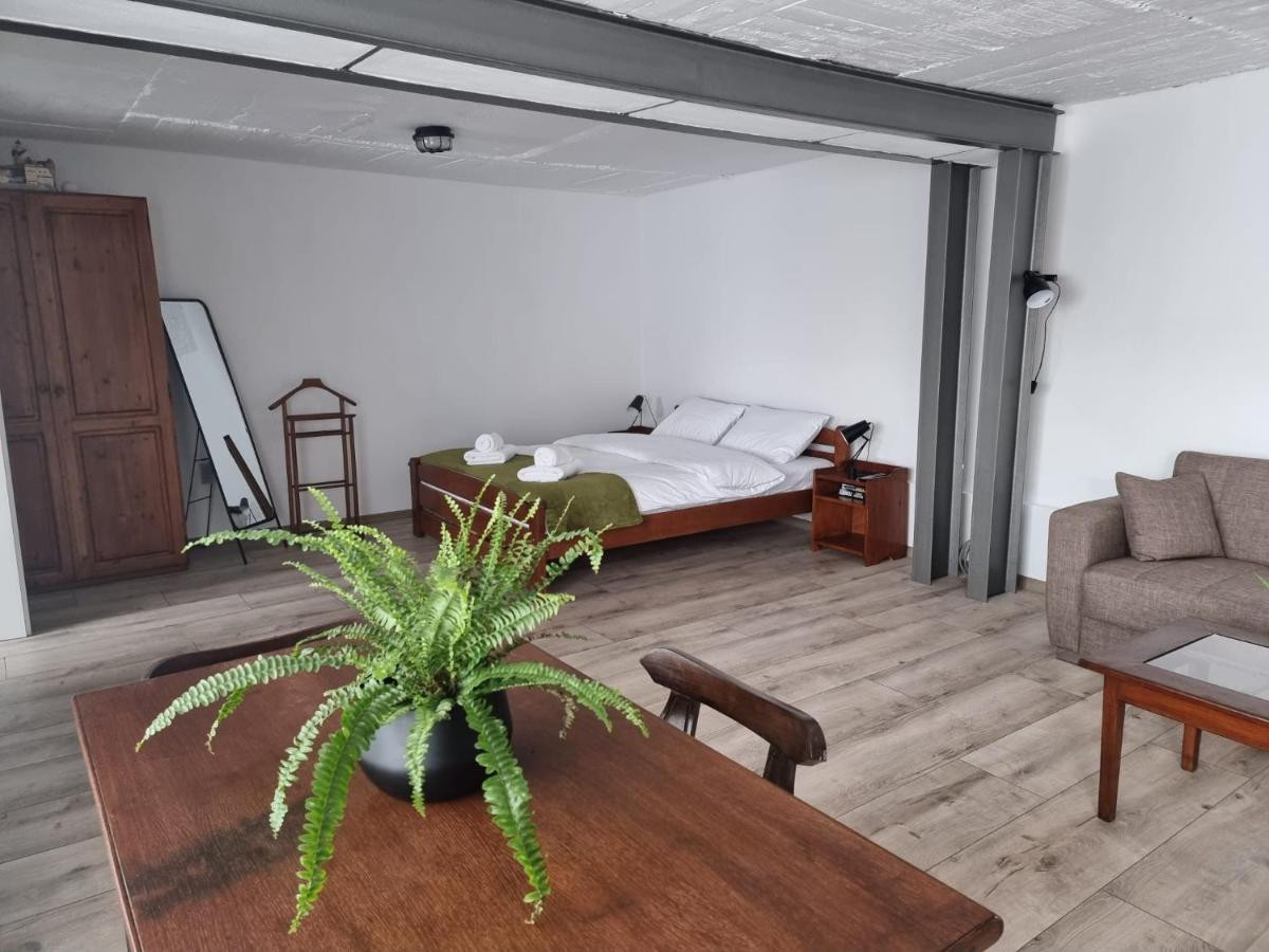 The Cozy Bunker Lejlighed Sibiu Eksteriør billede
