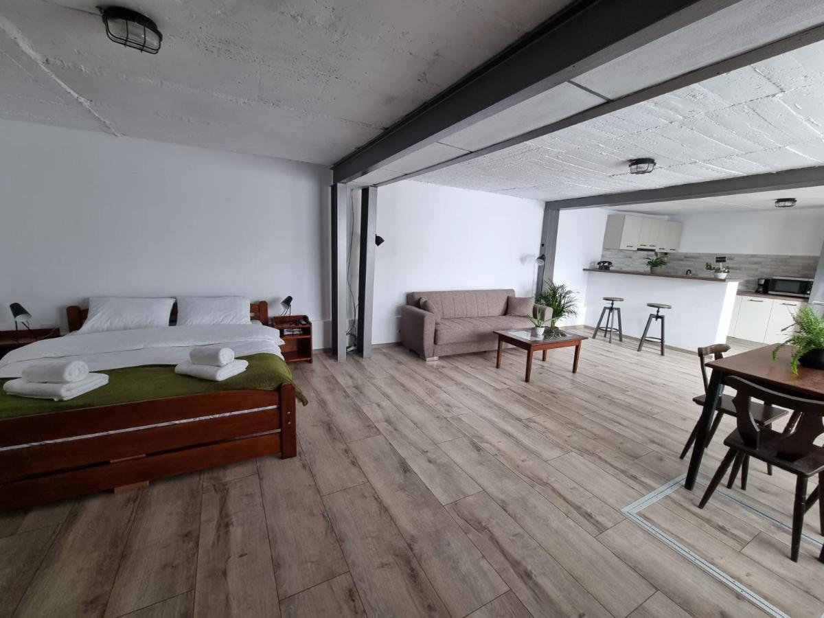 The Cozy Bunker Lejlighed Sibiu Eksteriør billede