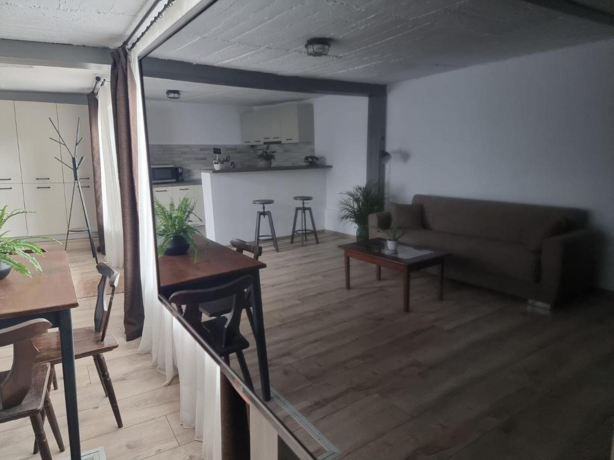The Cozy Bunker Lejlighed Sibiu Eksteriør billede
